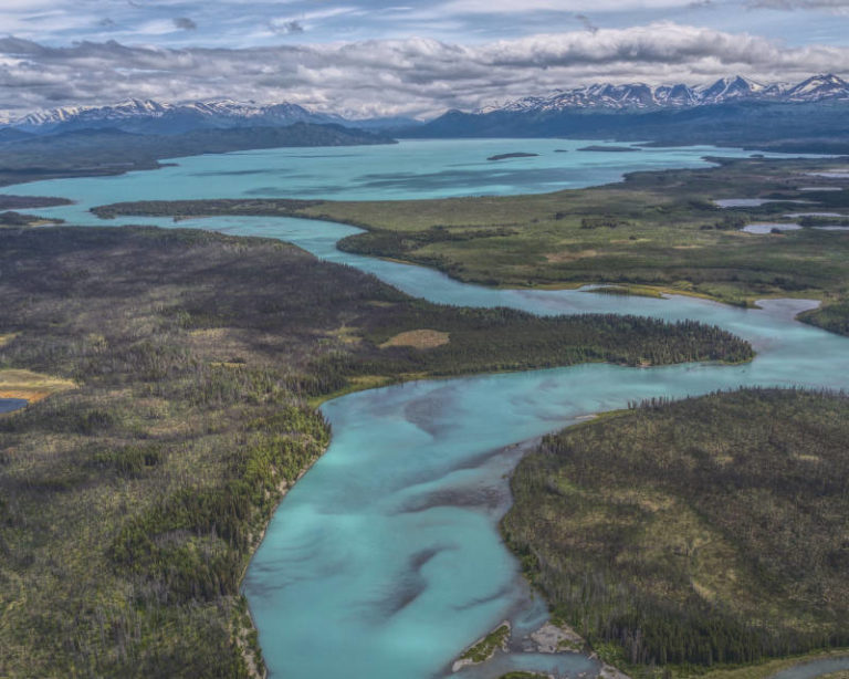 Kenai River Fishing Reports & Fish Counts - Kenai Drift Anglers