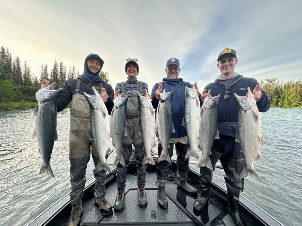 Kenai river late run sockeye salmon run kenai drift anglers